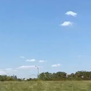 Meet your Posher, Pamela